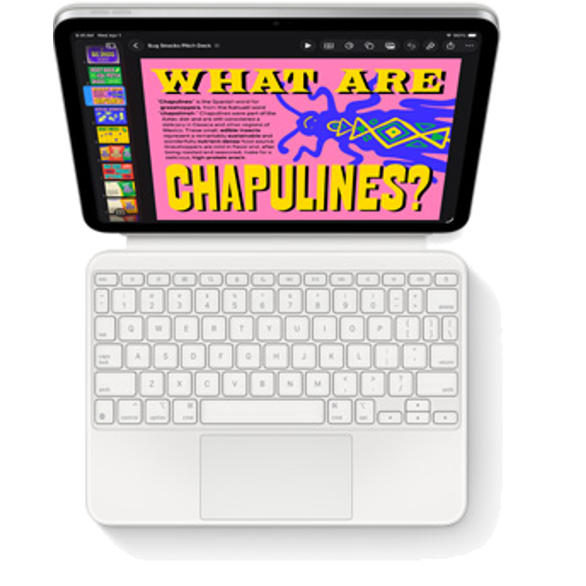 Magic Keyboard Folio